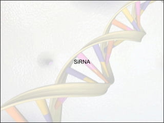 SiRNA

 