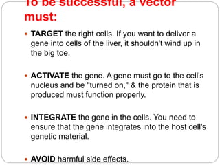 To be successful, a vector 
must: 
 TARGET the right cells. If you want to deliver a 
gene into cells of the liver, it shouldn't wind up in 
the big toe. 
 ACTIVATE the gene. A gene must go to the cell's 
nucleus and be "turned on," & the protein that is 
produced must function properly. 
 INTEGRATE the gene in the cells. You need to 
ensure that the gene integrates into the host cell's 
genetic material. 
 AVOID harmful side effects. 
 