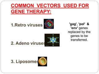 COMMON VECTORS USED FOR 
GENE THERAPY: 
1.Retro viruses 
2. Adeno viruses 
3. Liposomes 
'gag', 'pol' & 
'env' genes 
replaced by the 
genes to be 
transferred. 
 