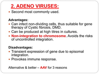 2. ADENO VIRUSES: 
 Second most commonly used. 
Advantages: 
 Can infect non-dividing cells, thus suitable for gene 
therapy of Cystic fibrosis, DMD. 
 Can be produced at high titres in cultures. 
 Non-integration to chromosome. Avoids the risks 
of uncontrolled integration. 
Disadvantages: 
 Transient expression of gene due to episomal 
integration. 
 Provokes immune response. 
Alternative & better – AAV for 3 reasons 
 