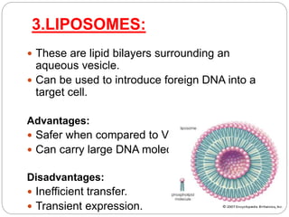 3.LIPOSOMES: 
 These are lipid bilayers surrounding an 
aqueous vesicle. 
 Can be used to introduce foreign DNA into a 
target cell. 
Advantages: 
 Safer when compared to Viral vectors. 
 Can carry large DNA molecules. 
Disadvantages: 
 Inefficient transfer. 
 Transient expression. 
 
