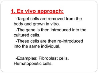 1. Ex vivo approach: 
-Target cells are removed from the 
body and grown in vitro. 
-The gene is then introduced into the 
cultured cells. 
-These cells are then re-introduced 
into the same individual. 
-Examples: Fibroblast cells, 
Hematopoietic cells. 
 