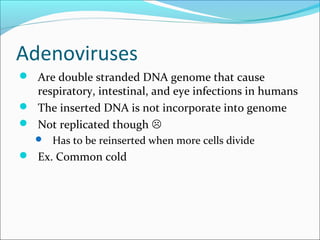 Adenoviruses
 Are double stranded DNA genome that cause
respiratory, intestinal, and eye infections in humans
 The inserted DNA is not incorporate into genome
 Not replicated though 
 Has to be reinserted when more cells divide
 Ex. Common cold
 
