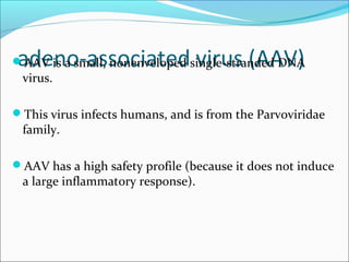 adeno-associated virus (AAV)AAV is a small, nonenveloped single-stranded DNA
virus.
This virus infects humans, and is from the Parvoviridae
family.
AAV has a high safety profile (because it does not induce
a large inflammatory response).
 