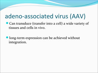 adeno-associated virus (AAV)
Can transduce (transfer into a cell) a wide variety of
tissues and cells in vivo.
long-term expression can be achieved without
integration.
 
