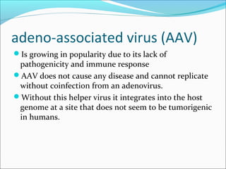 adeno-associated virus (AAV)
Is growing in popularity due to its lack of
pathogenicity and immune response
AAV does not cause any disease and cannot replicate
without coinfection from an adenovirus.
Without this helper virus it integrates into the host
genome at a site that does not seem to be tumorigenic
in humans.
 