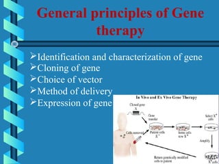 General principles of Gene
therapy
Identification and characterization of gene
Cloning of gene
Choice of vector
Method of delivery
Expression of gene
 