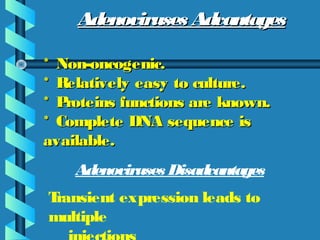Adenoviruses AdvantagesAdenoviruses Advantages
* Non-oncogenic.* Non-oncogenic.
* Relatively easy to culture.* Relatively easy to culture.
* Proteins functions are known.* Proteins functions are known.
* Complete DNA sequence is* Complete DNA sequence is
available.available.
Adenoviruses Disadvantages
Transient expression leads to
multiple
 