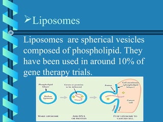 Liposomes are spherical vesicles
composed of phospholipid. They
have been used in around 10% of
gene therapy trials.
Liposomes
 
