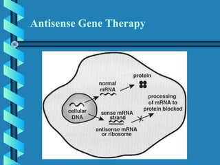 Antisense Gene Therapy
 