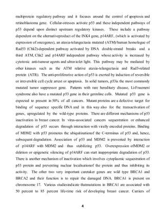 4
multiprotein regulatory pathway and it focuses around the control of apoptosis and
retinoblastoma gene. Cellular-stresses activate p53 and these independent pathways of
p53 depend upon distinct upstream regulatory kinases. These include a pathway
dependent on the alternativeproduct of the INK4 gene, p14ARF, (which is activated by
expression of oncogenes), an ataxia-telangectasia mutated (ATM)/human homologue of
Rad53 (Chk2)-dependent pathway activated by DNA double-strand breaks and a
third ATM, Chk2 and p14ARF independent pathway whose activity is increased by
cytotoxic anti-tumour agents and ultraviolet light. This pathway may be mediated by
other kinases such as the ATM relative ataxia-telangectasia and Rad3-related
protein (ATR). The anti-proliferative action of p53 is exerted by induction of reversible
or irreversible cell cycle arrest or apoptosis. In solid tumors, p53is the most commonly
mutated tumor suppressor gene. Patients with rare hereditary disease, Li-Fraumeni
syndrome also have a mutated p53 gene in their germline cells. Mutated p53 gene is
expected to present in 50% of all cancers. Mutant proteins are a defective target for
binding of sequence specific DNA and in this way also for the transactivation of
genes, upregulated by the wild-type proteins. There are different mechanisms of p53
inactivation in breast cancer. In virus-associated cancers sequestration or enhanced
degradation of p53 occurs through interaction with virally encoded proteins. Binding
of MDM2 with p53 promotes the ubiquitinationof the C-terminus of p53 and, hence,
subsequent degradation. Association of p53 and MDM2 is prevented by interaction
of p14ARF with MDM2 and thus stabilizing p53. Overexpression ofMDM2 or
deletion or epigenetic silencing of p14ARF can start inappropriate degradation of p53.
There is another mechanism of inactivation which involves cytoplasmic sequestration of
p53 protein and preventing nuclear localisationof the protein and thus inhibiting its
activity. The other two very important caretaker genes are wild type BRCA1 and
BRCA2 and their function is to repair the damaged DNA. BRCA1 is present on
chromosome 17. Various studiesindicate thatmutations in BRCA1 are associated with
50 percent to 85 percent life-time risk of developing breast cancer. Carriers of
 