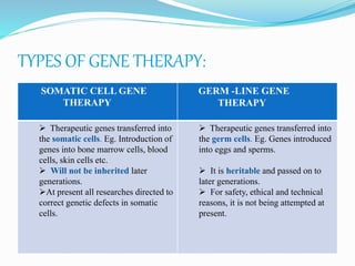 TYPES OF GENE THERAPY:
SOMATIC CELL GENE
THERAPY
GERM -LINE GENE
THERAPY
 Therapeutic genes transferred into
the somatic cells. Eg. Introduction of
genes into bone marrow cells, blood
cells, skin cells etc.
 Will not be inherited later
generations.
At present all researches directed to
correct genetic defects in somatic
cells.
 Therapeutic genes transferred into
the germ cells. Eg. Genes introduced
into eggs and sperms.
 It is heritable and passed on to
later generations.
 For safety, ethical and technical
reasons, it is not being attempted at
present.
 