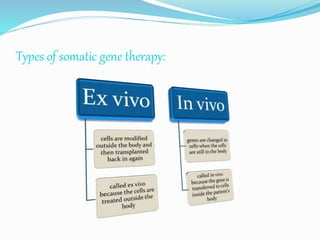 Types of somatic gene therapy:
 