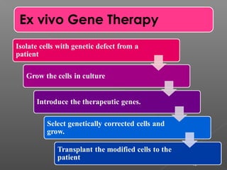 10
Ex vivo Gene Therapy
 