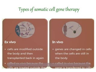 Types of somatic cell gene therapy
 