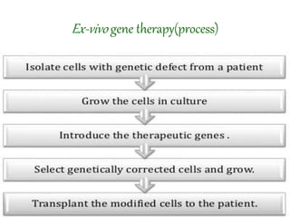 Ex-vivo gene therapy(process)
 