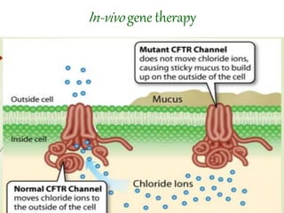 In-vivo gene therapy
 