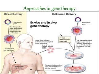 Approaches in gene therapy
 