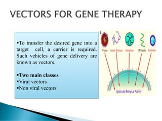 To transfer the desired gene into a
target cell, a carrier is required.
Such vehicles of gene delivery are
known as vectors.
Two main classes
Viral vectors
Non viral vectors
 
