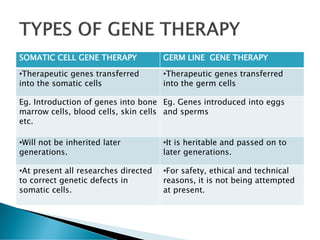 SOMATIC CELL GENE THERAPY GERM LINE GENE THERAPY
•Therapeutic genes transferred
into the somatic cells
•Therapeutic genes transferred
into the germ cells
Eg. Introduction of genes into bone
marrow cells, blood cells, skin cells
etc.
Eg. Genes introduced into eggs
and sperms
•Will not be inherited later
generations.
•It is heritable and passed on to
later generations.
•At present all researches directed
to correct genetic defects in
somatic cells.
•For safety, ethical and technical
reasons, it is not being attempted
at present.
 
