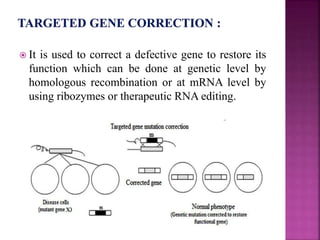 It is used to correct a defective gene to restore its
function which can be done at genetic level by
homologous recombination or at mRNA level by
using ribozymes or therapeutic RNA editing.
 