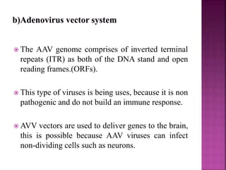  The AAV genome comprises of inverted terminal
repeats (ITR) as both of the DNA stand and open
reading frames.(ORFs).
 This type of viruses is being uses, because it is non
pathogenic and do not build an immune response.
 AVV vectors are used to deliver genes to the brain,
this is possible because AAV viruses can infect
non-dividing cells such as neurons.
 