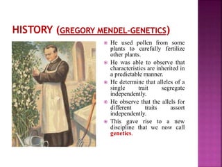  He used pollen from some
plants to carefully fertilize
other plants.
 He was able to observe that
characteristics are inherited in
a predictable manner.
 He determine that alleles of a
single trait segregate
independently.
 He observe that the allels for
different traits assort
independently.
 This gave rise to a new
discipline that we now call
genetics.
 