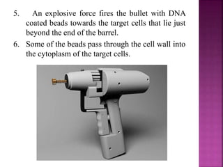 5. An explosive force fires the bullet with DNA
coated beads towards the target cells that lie just
beyond the end of the barrel.
6. Some of the beads pass through the cell wall into
the cytoplasm of the target cells.
 