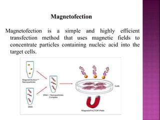 Magnetofection is a simple and highly efficient
transfection method that uses magnetic fields to
concentrate particles containing nucleic acid into the
target cells.
 