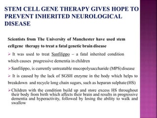 Scientists from The University of Manchester have used stem
cellgene therapy to treat a fatal genetic brain disease
 It was used to treat Sanfilippo – a fatal inherited condition
which causes progressive dementia in children
Sanfilippo, is currently untreatable mucopolysaccharide (MPS)disease
 It is caused by the lack of SGSH enzyme in the body which helps to
breakdown and recycle long chain sugars, such as heparan sulphate(HS)
Children with the condition build up and store excess HS throughout
their body from birth which affects their brain and results in progressive
dementia and hyperactivity, followed by losing the ability to walk and
swallow
 