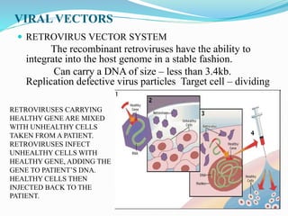 VIRAL VECTORS
 RETROVIRUS VECTOR SYSTEM
The recombinant retroviruses have the ability to
integrate into the host genome in a stable fashion.
Can carry a DNA of size – less than 3.4kb.
Replication defective virus particles Target cell – dividing
RETROVIRUSES CARRYING
HEALTHY GENE ARE MIXED
WITH UNHEALTHY CELLS
TAKEN FROM A PATIENT.
RETROVIRUSES INFECT
UNHEALTHY CELLS WITH
HEALTHY GENE, ADDING THE
GENE TO PATIENT’S DNA.
HEALTHY CELLS THEN
INJECTED BACK TO THE
PATIENT.
 