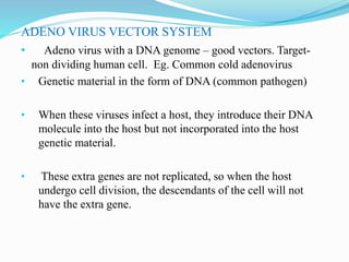 ADENO VIRUS VECTOR SYSTEM
• Adeno virus with a DNA genome – good vectors. Target-
non dividing human cell. Eg. Common cold adenovirus
• Genetic material in the form of DNA (common pathogen)
• When these viruses infect a host, they introduce their DNA
molecule into the host but not incorporated into the host
genetic material.
• These extra genes are not replicated, so when the host
undergo cell division, the descendants of the cell will not
have the extra gene.
 
