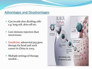 Advantages and Disadvantages
 Can invade slow dividing cells
e.g. lung cell, skin cell etc.
 Less immune rejection than
retroviruses
 Gendicine, adenoviral p53 gene
therapy for head and neck
cancer in China in 2003.
 Multiple settings of therapy
needed….
 
