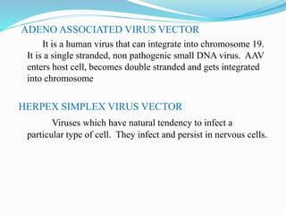 ADENO ASSOCIATED VIRUS VECTOR
It is a human virus that can integrate into chromosome 19.
It is a single stranded, non pathogenic small DNA virus. AAV
enters host cell, becomes double stranded and gets integrated
into chromosome
HERPEX SIMPLEX VIRUS VECTOR
Viruses which have natural tendency to infect a
particular type of cell. They infect and persist in nervous cells.
 