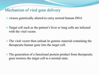 Mechanism of viral gene delivery
 viruses genetically altered to carry normal human DNA
 Target cell such as the patient’s liver or lung cells are infected
with the viral vector.
 The viral vector then unload its genetic material containing the
therapeutic human gene into the target cell.
 The generation of a functional protein product from therapeutic
gene restores the target cell to a normal state.
 