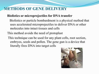 METHODS OF GENE DELIVERY
Biolistics or microprojectiles for DNA transfer
Biolistics or particle bombardment is a physical method that
uses accelerated microprojectiles to deliver DNA or other
molecules into intact tissues and cells
This method avoids the need of protoplast
This technique can be used for any plant cells, root section,
embryos, seeds and pollen. The gene gun is a device that
literally fires DNA into target cells
 