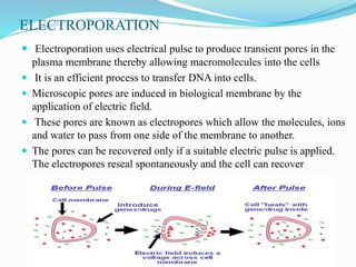 ELECTROPORATION
 Electroporation uses electrical pulse to produce transient pores in the
plasma membrane thereby allowing macromolecules into the cells
 It is an efficient process to transfer DNA into cells.
 Microscopic pores are induced in biological membrane by the
application of electric field.
 These pores are known as electropores which allow the molecules, ions
and water to pass from one side of the membrane to another.
 The pores can be recovered only if a suitable electric pulse is applied.
The electropores reseal spontaneously and the cell can recover
 
