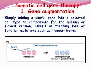 Gene therapy | PDF