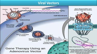 Gene Therapy | PPTX