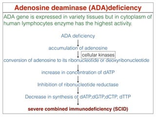 Gene therapy | PDF