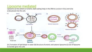 Basics of Gene Therapy | PPTX
