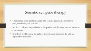 Somatic cell gene therapy
• Therapeutic genes are transferred into somatic cells i.e. bone marrow
cells,blood cells,skin cells etc
• It affects only the targeted cells in the patient and does not pass on to future
generations
• It is short lived because the cells of most tissues ultimately die and are
replaced by new cells
 