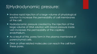 gene therapy and it's applications in healthcare | PPTX