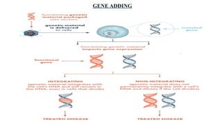 DETAILED STUDY OF GENE THERAPY TECHNIQUES , APPLICATION AND ...