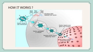 INTRODUCTION AND IMPORTANCE OF GENE THERAPY.pptx
