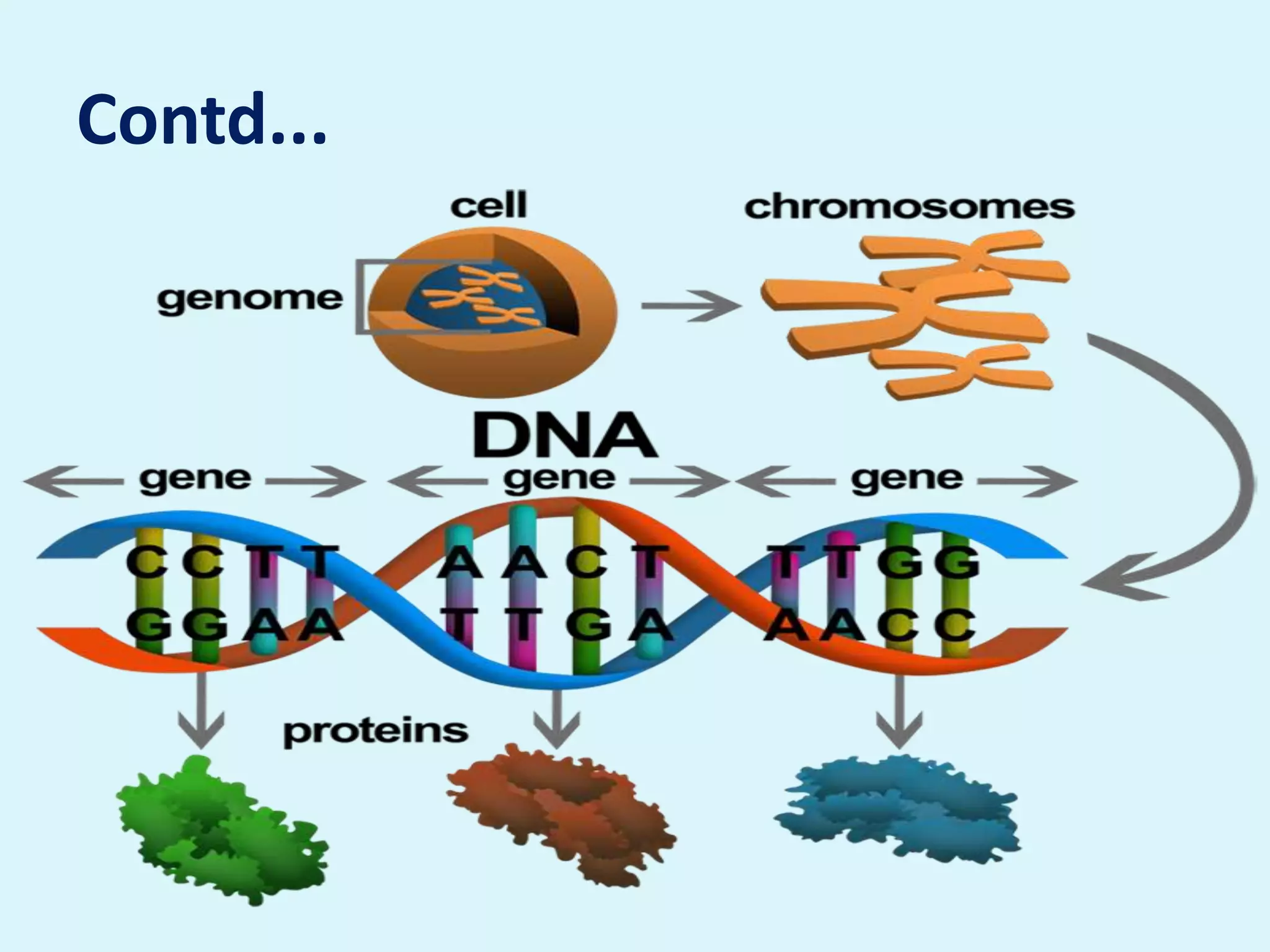Gene Therapy by Anupam Dwivedi (MS) | PPTX