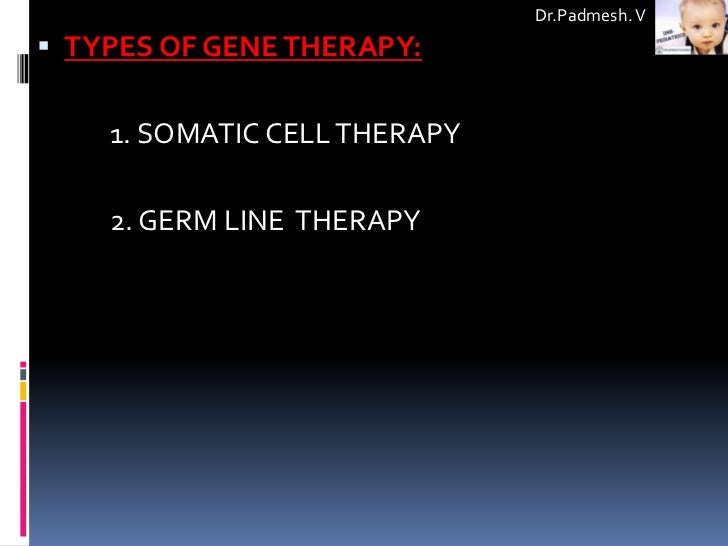 somatic cell gene therapy essay Free essay: human gene therapy what is human gene therapy this is called somatic gene therapy because it introduces the gene into a somatic or body cell. somatic cell gene therapy essay Free essay: human gene therapy what is human gene therapy this is called somatic gene therapy because it introduces the gene into a somatic or body cell.