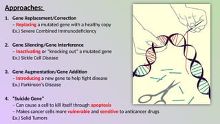 Gene Therapy - Future of Medicine. in the therapy of future medicine | PPTX