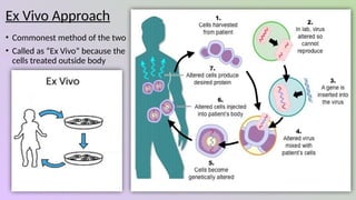 Gene Therapy - Future of Medicine. in the therapy of future medicine | PPTX
