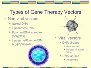 Types of Gene Therapy Vectors Non-viral vectors Naked DNA Liposomes/DNA Polymer/DNA complex (polyplex) Liposome/Polymer/DNA (lipopolyplex) Viral vectors DNA viruses Adenovirus Herpes Simplex Virus RNA viruses Retrovirus 